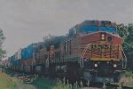 BNSF 877 West